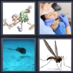 4 fotos 1 palabra 8 letras mosquito manta raya dentista