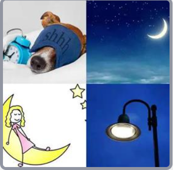 4 Fotos 1 Palabra Nivel 204