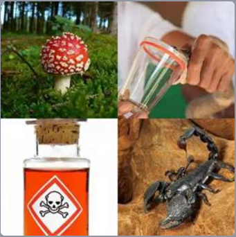 4 Fotos 1 Palabra Nivel 210