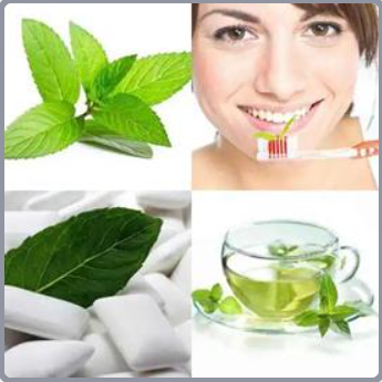 4 Fotos 1 Palabra Nivel 214