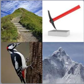 4 Fotos 1 Palabra Nivel 251