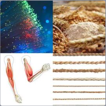 4 Fotos 1 Palabra Nivel 253