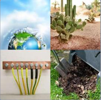 4 Fotos 1 Palabra Nivel 303