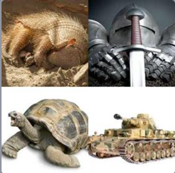 4 Fotos 1 Palabra Nivel 304