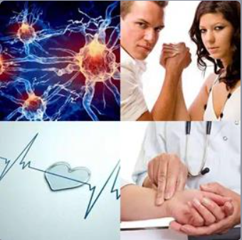 4 Fotos 1 Palabra Nivel 307