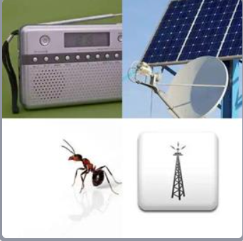 4 Fotos 1 Palabra Nivel 310