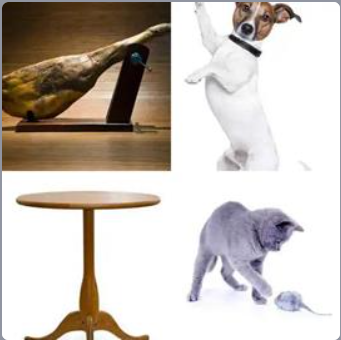 4 Fotos 1 Palabra Nivel 313