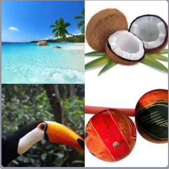 4 Fotos 1 Palabra Nivel 335