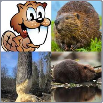 4 Fotos 1 Palabra Nivel 415