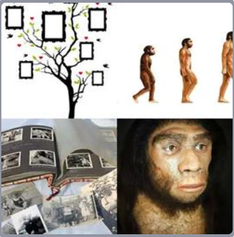 4 Fotos 1 Palabra Nivel 422