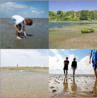 4 Fotos 1 Palabra Nivel 445