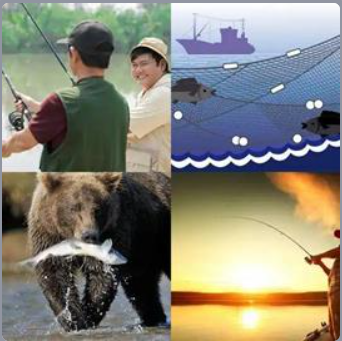 4 Fotos 1 Palabra Nivel 457