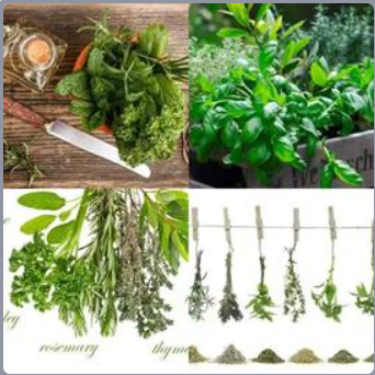 4 Fotos 1 Palabra Nivel 460