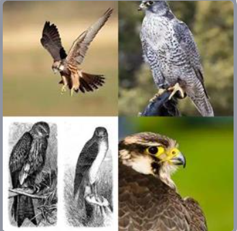 4 Fotos 1 Palabra Nivel 469