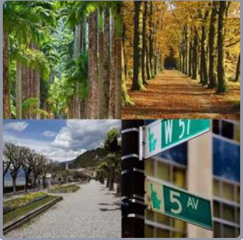 4 Fotos 1 Palabra Nivel 473