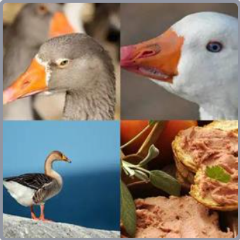 4 Fotos 1 Palabra Nivel 491