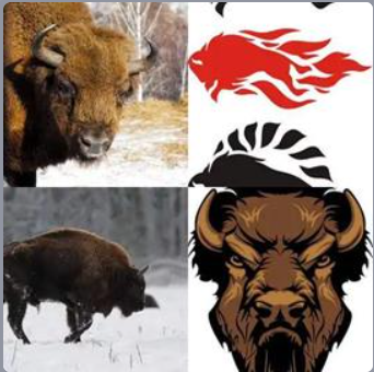 4 Fotos 1 Palabra Nivel 494