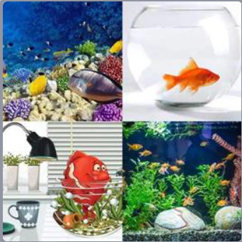 4 Fotos 1 Palabra Nivel 496