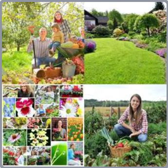 4 Fotos 1 Palabra Nivel 499