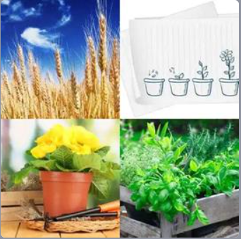 4 Fotos 1 Palabra Nivel 506