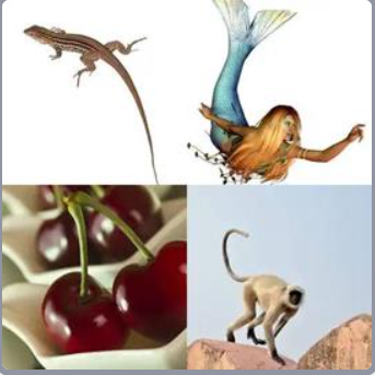 4 Fotos 1 Palabra Nivel 533