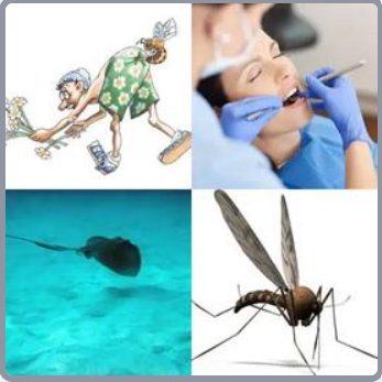 4 Fotos 1 Palabra Nivel 566