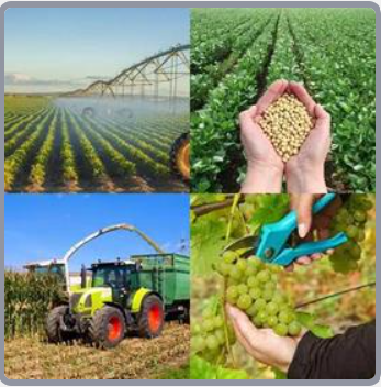 4 Fotos 1 Palabra Nivel 567