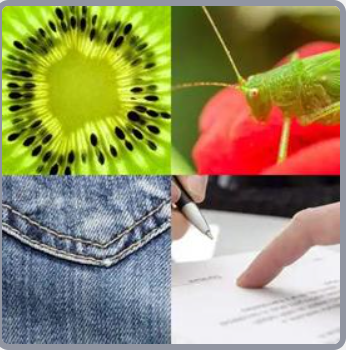 4 Fotos 1 Palabra Nivel 581