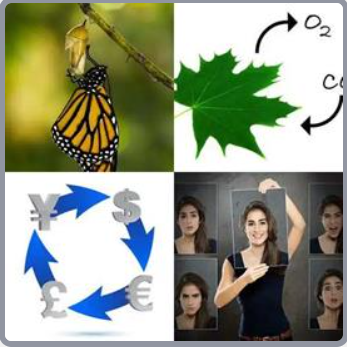 4 Fotos 1 Palabra Nivel 593