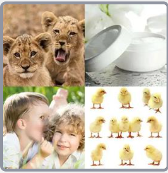 4 Fotos 1 Palabra Nivel 626