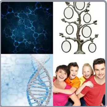 4 Fotos 1 Palabra Nivel 627