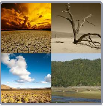 Cuatro Fotos Una Palabra Nivel 988