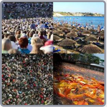 Cuatro Fotos Una Palabra Nivel 994