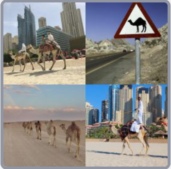 4 Fotos 1 Palabra Nivel 2003