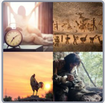 4 Fotos 1 Palabra Nivel 2021