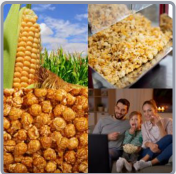 4 Fotos 1 Palabra Nivel 2032