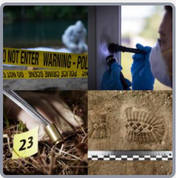 4 Fotos 1 Palabra Nivel 2049