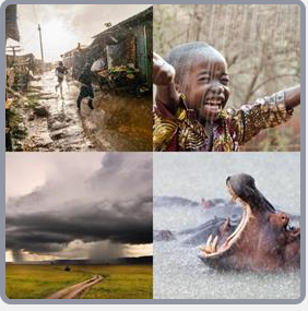 4 Fotos 1 Palabra Nivel 2349