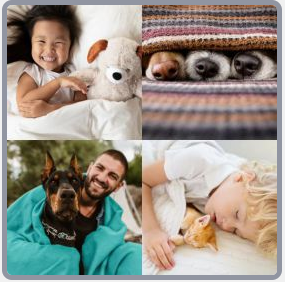 4 Fotos 1 Palabra Nivel 2445