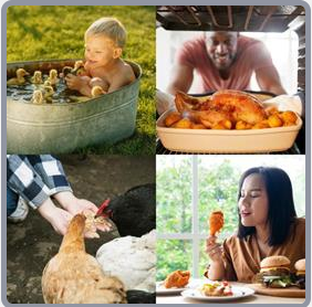 4 Fotos 1 Palabra Nivel 2482