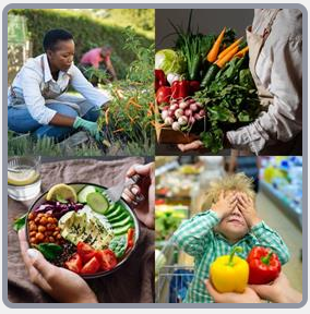 4 Fotos 1 Palabra Nivel 2483