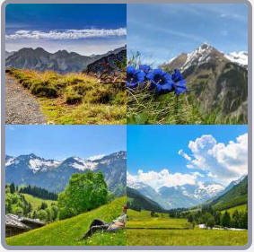 4 Fotos 1 Palabra Nivel 2611