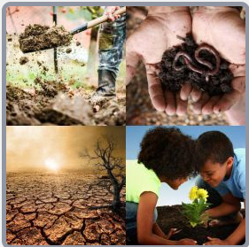 4 Fotos 1 Palabra Nivel 2621