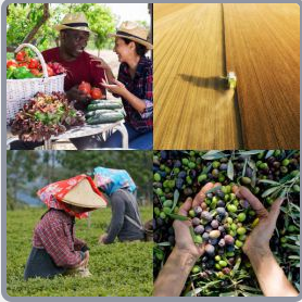 4 Fotos 1 Palabra Nivel 2627