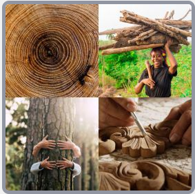 4 Fotos 1 Palabra Nivel 2636