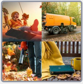 4 Fotos 1 Palabra Nivel 2639