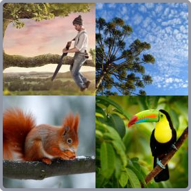 4 Fotos 1 Palabra Nivel 2640