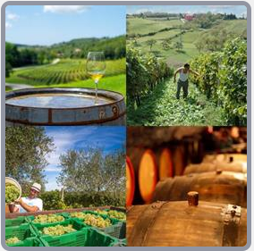 4 Fotos 1 Palabra Nivel 2663