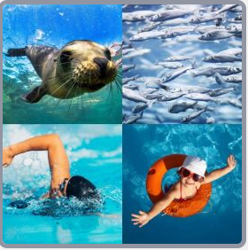 4 Fotos 1 Palabra Nivel 2731