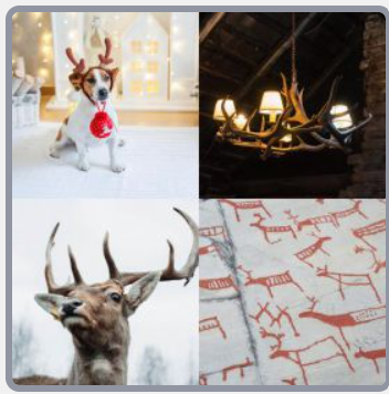 4 Fotos 1 Palabra Nivel 2804